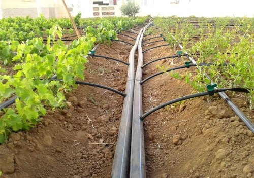 آبیاری قطره‌ای